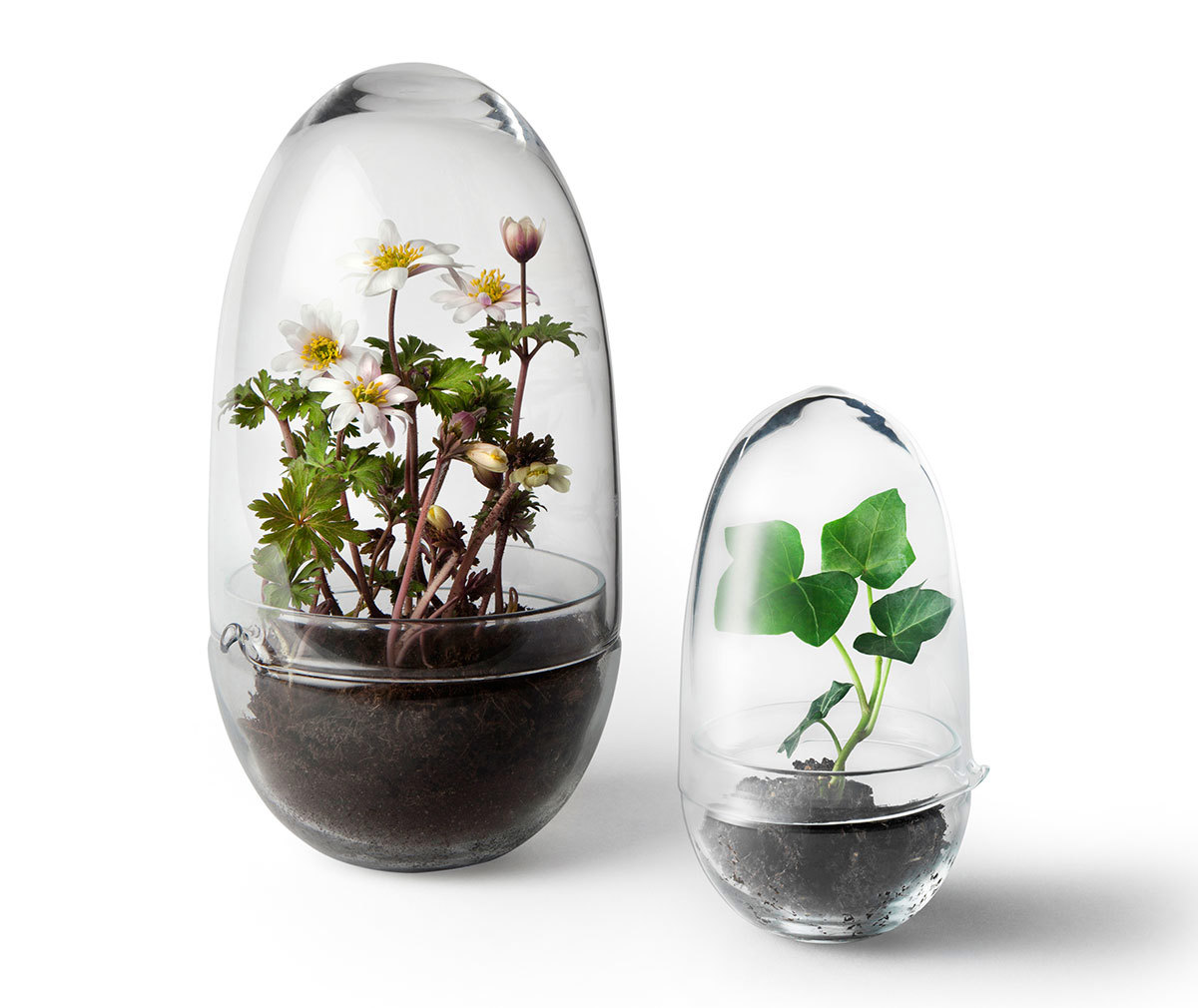 Grow-minikasvihuone Grow-minikasvihuone