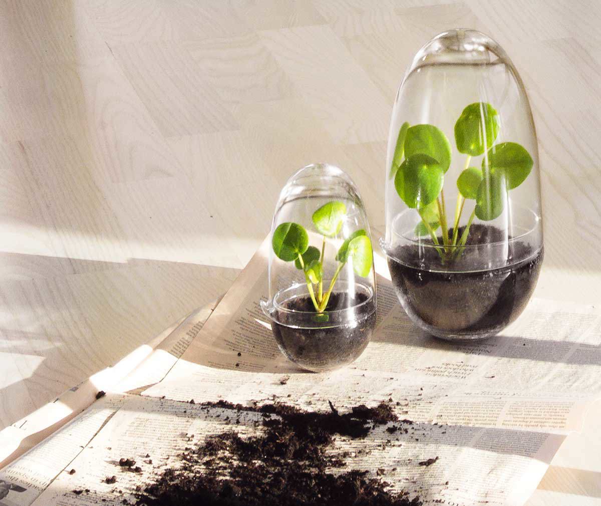 Grow-minikasvihuone Grow-minikasvihuone