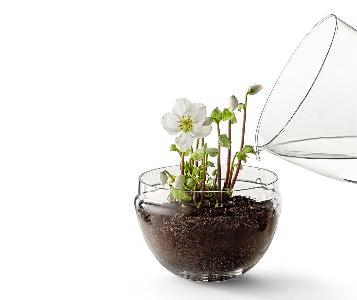 Grow-minikasvihuone Grow-minikasvihuone