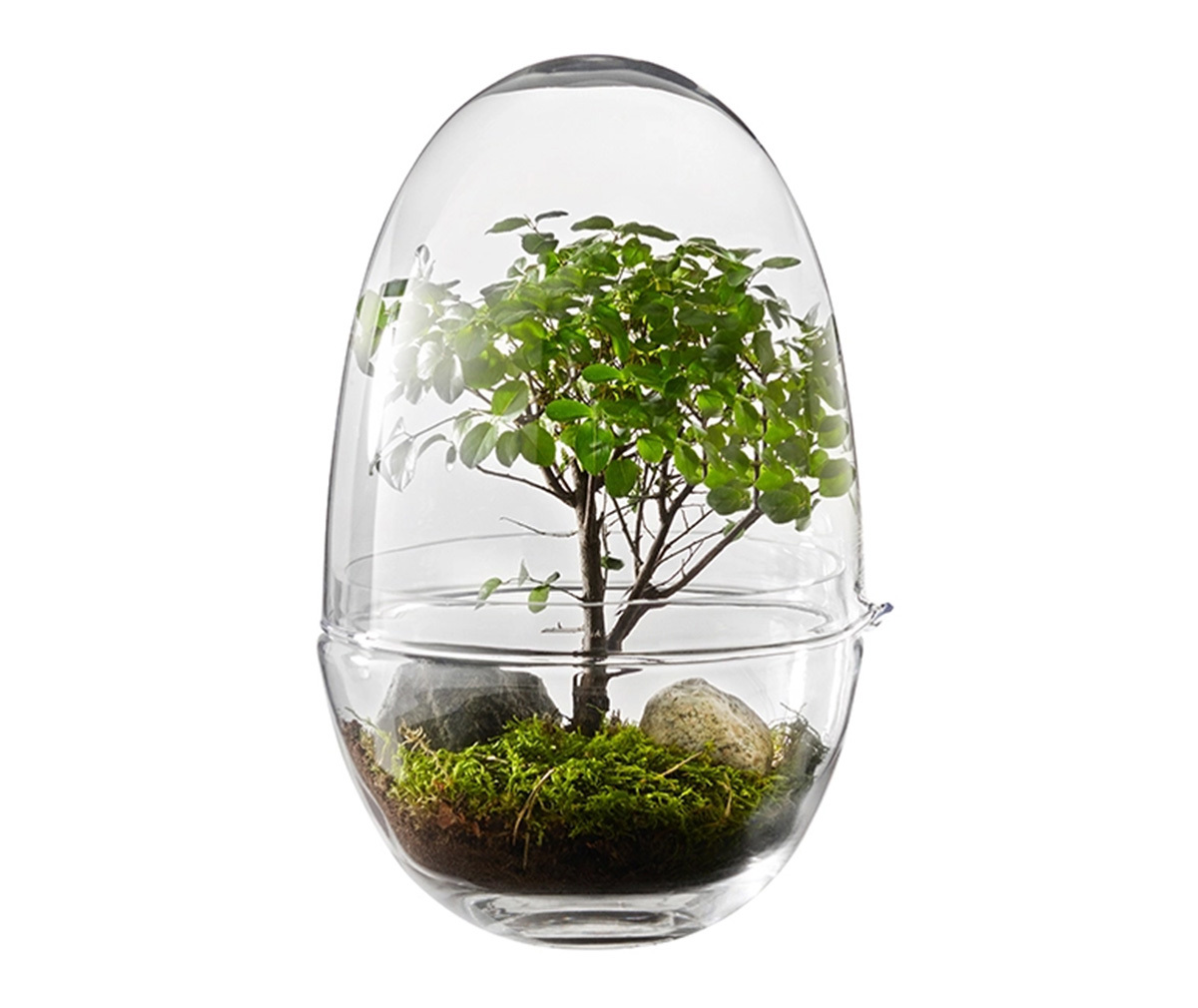 Design House Stockholm Grow-minikasvihuone K 32 cm Design House Stockholm Grow-minikasvihuone K 32 cm