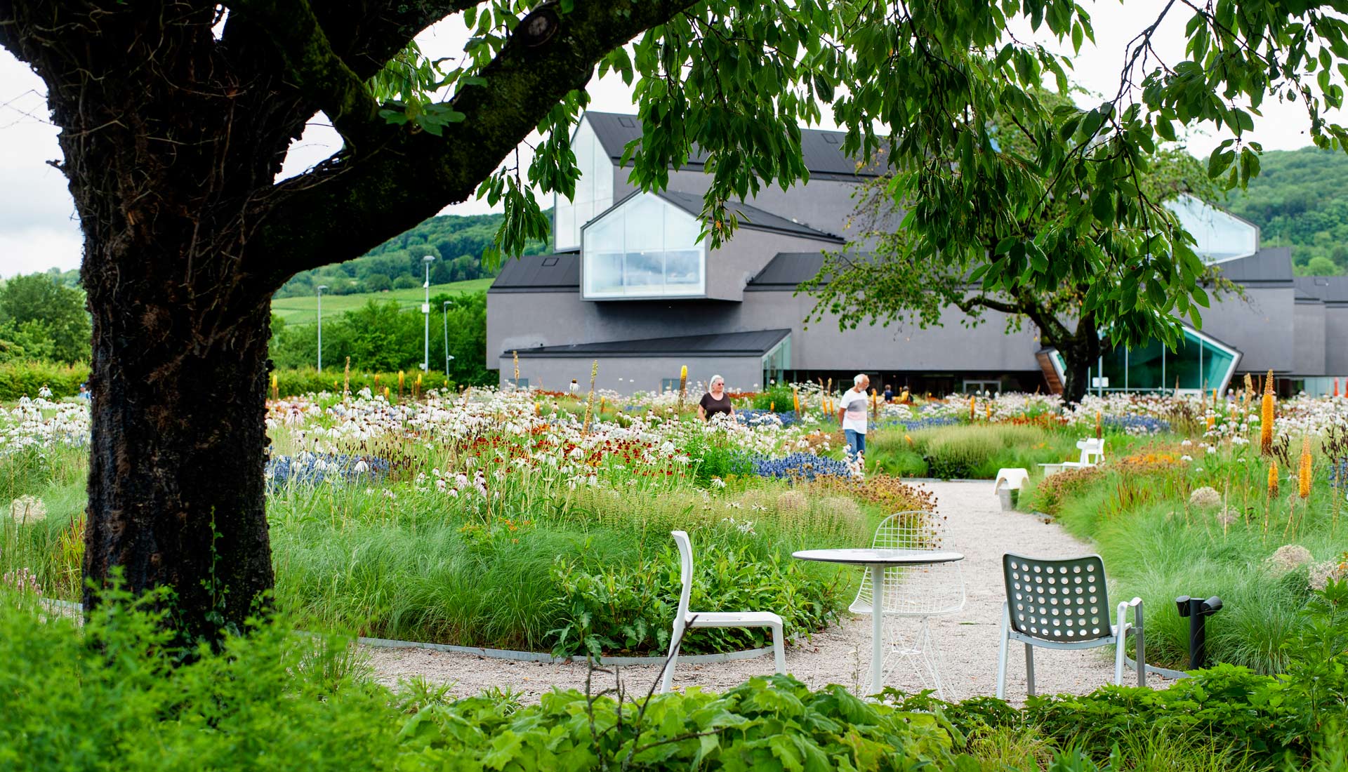 vepsalainen_vitra_campus_2.jpg