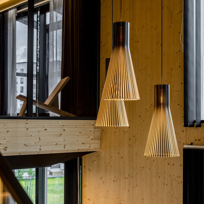 Secto 4200 Pendant Light