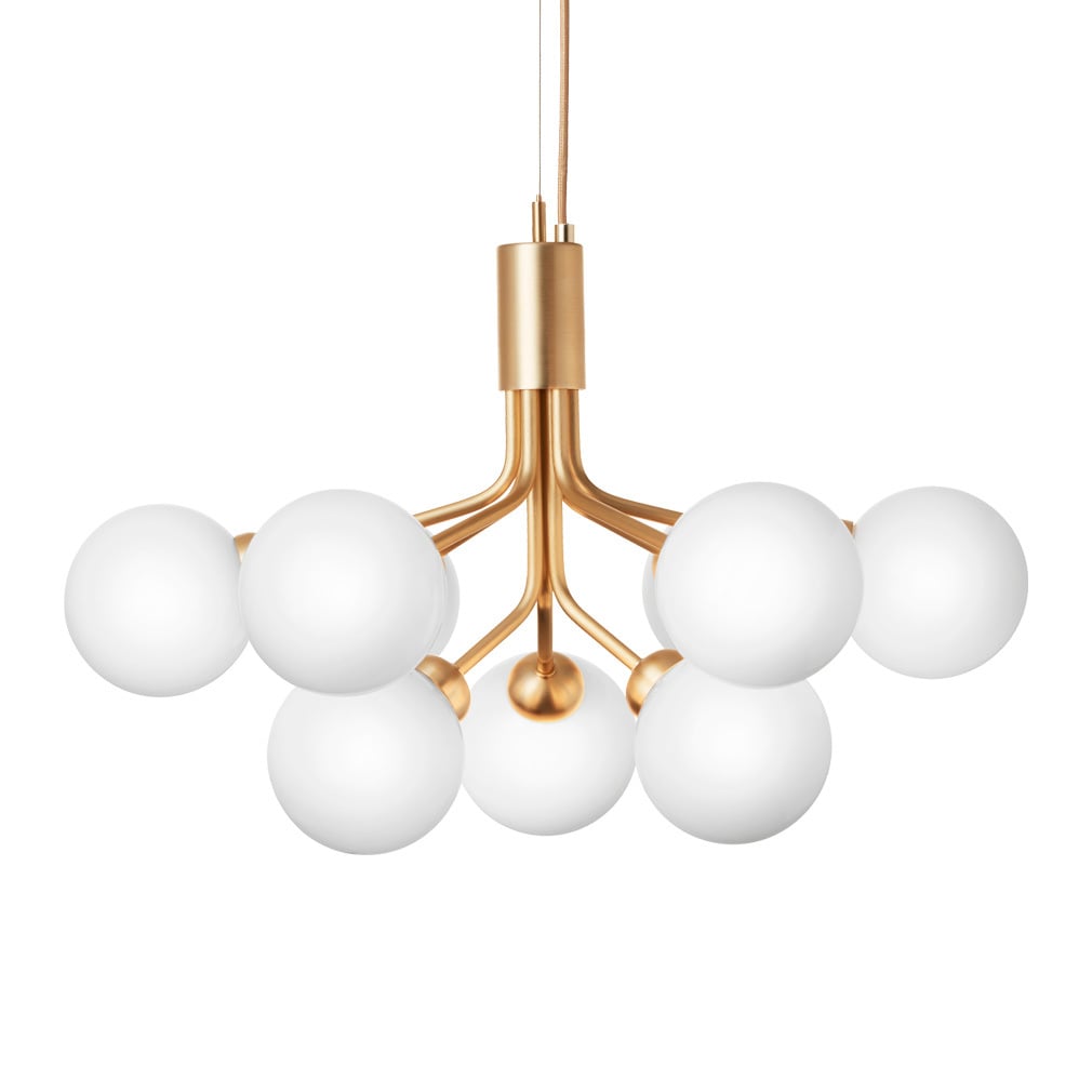 Apiales 9 Chandelier