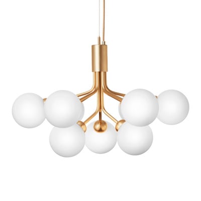 Apiales 9 Chandelier
