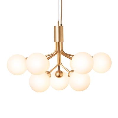 Apiales 9 Chandelier