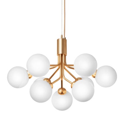 Apiales 9 Chandelier