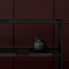 The Botanic Shelf -hylly