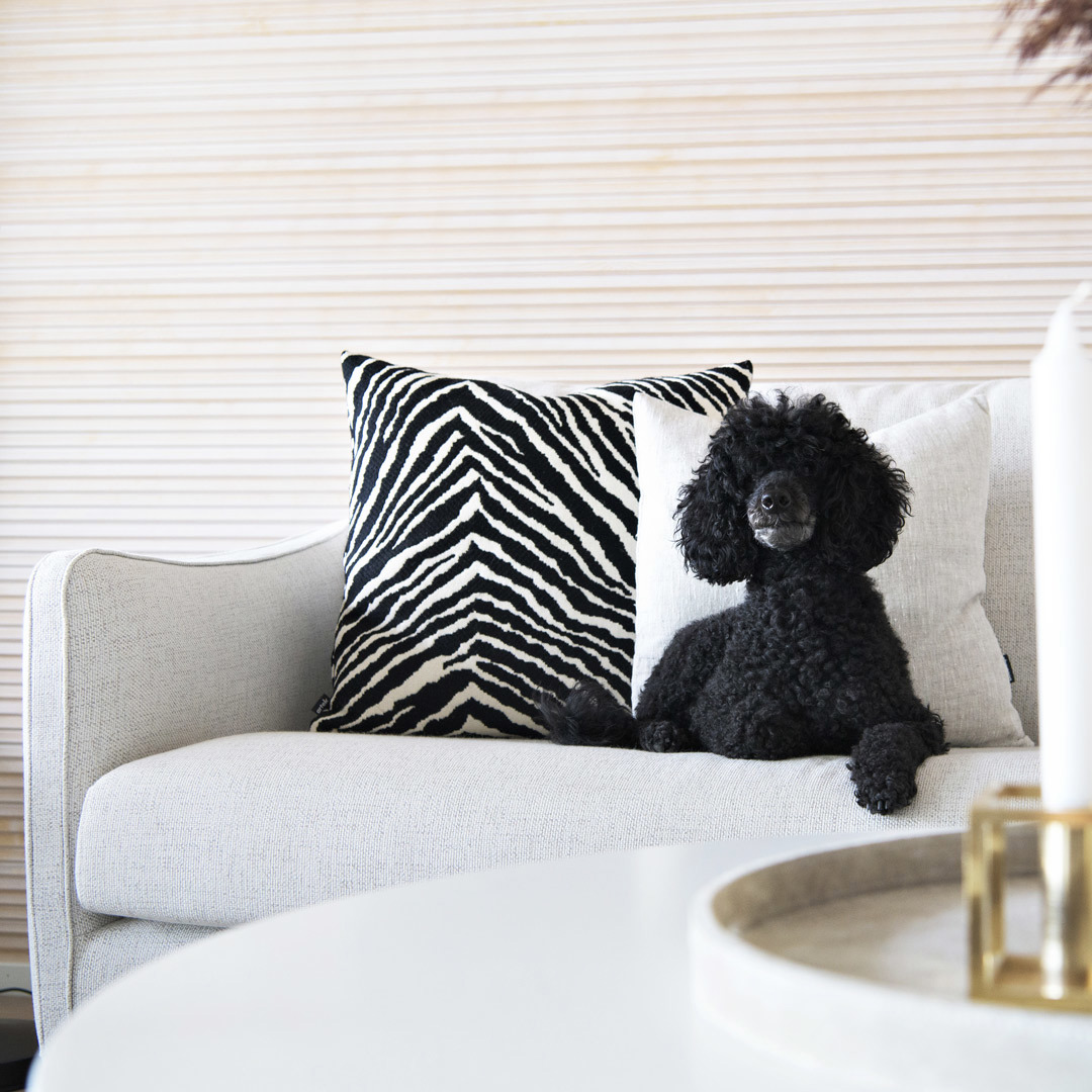 Zebra Cushion Cover