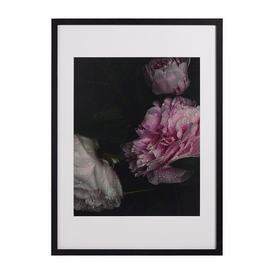 Flora 1 -taulu