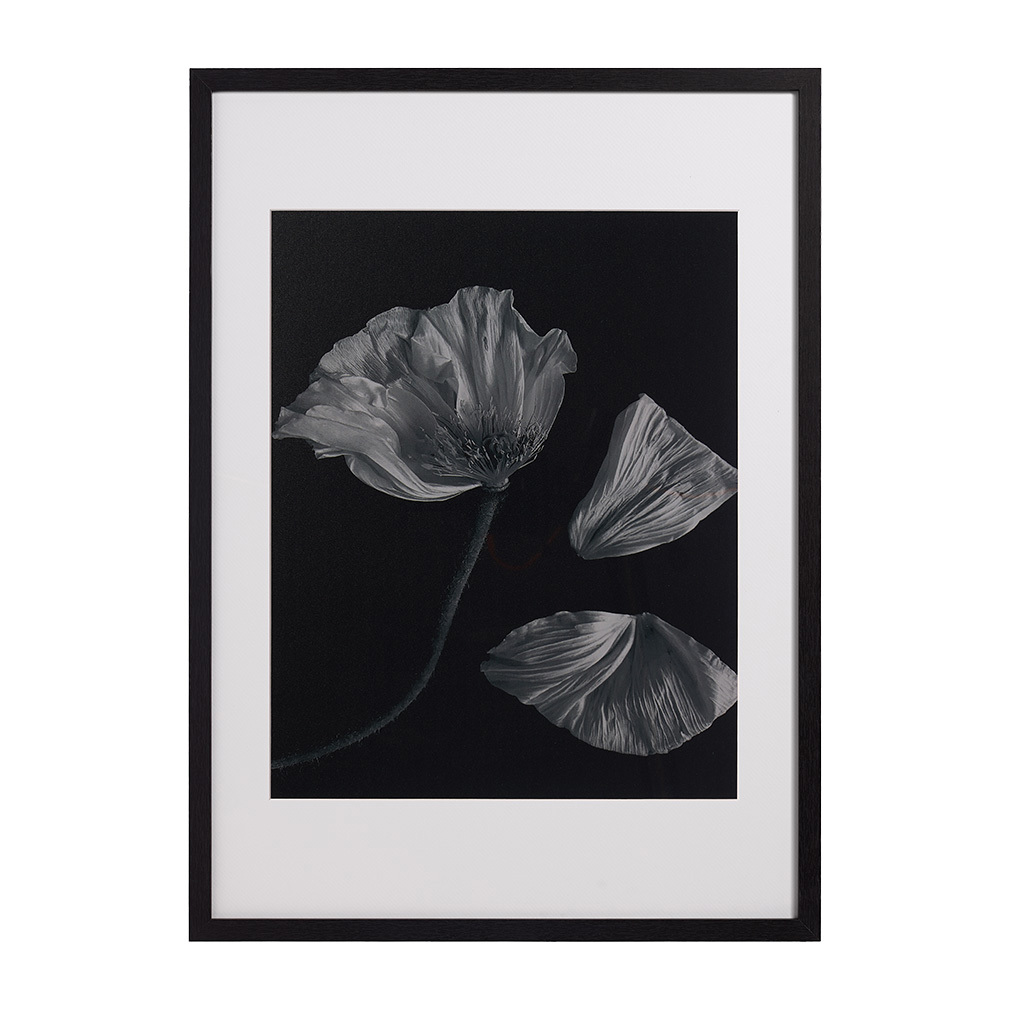 Flora 2 -taulu