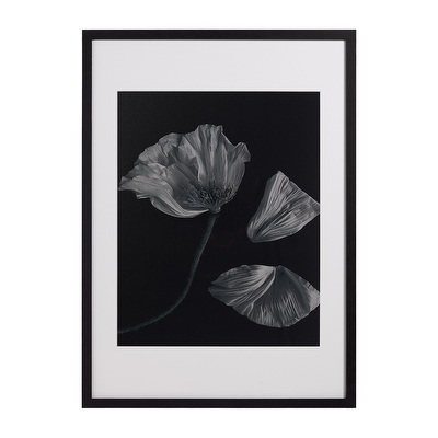 Flora 2 -taulu
