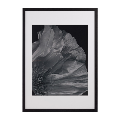 Flora 3 -taulu