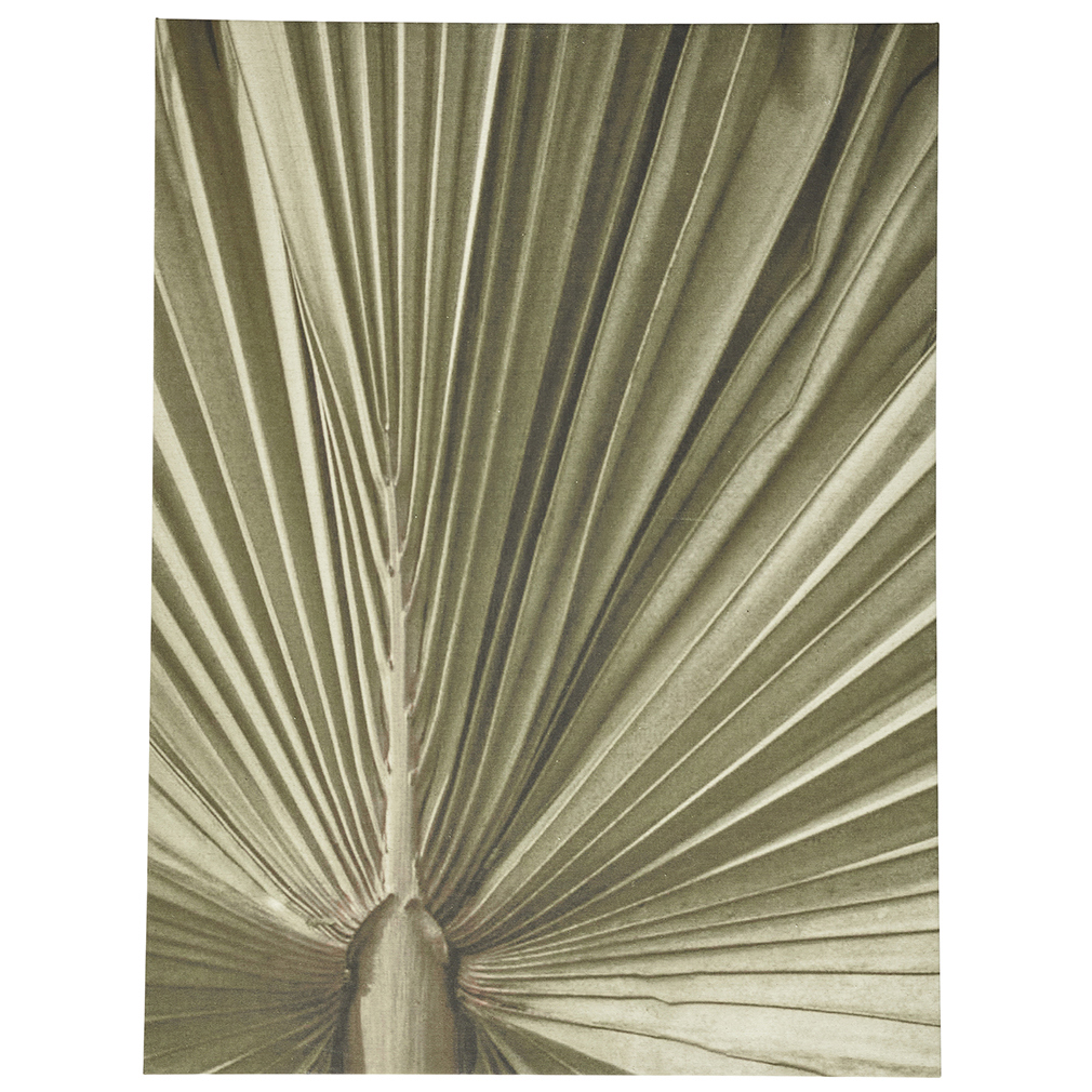 BoConcept Palm Leaf Picture 90 x 120 cm