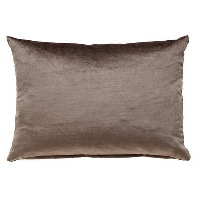 Velvet Cushion