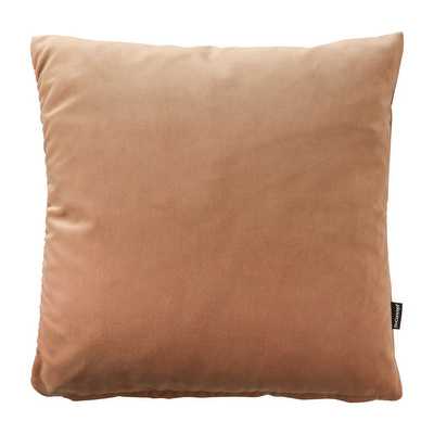 Velvet Cushion