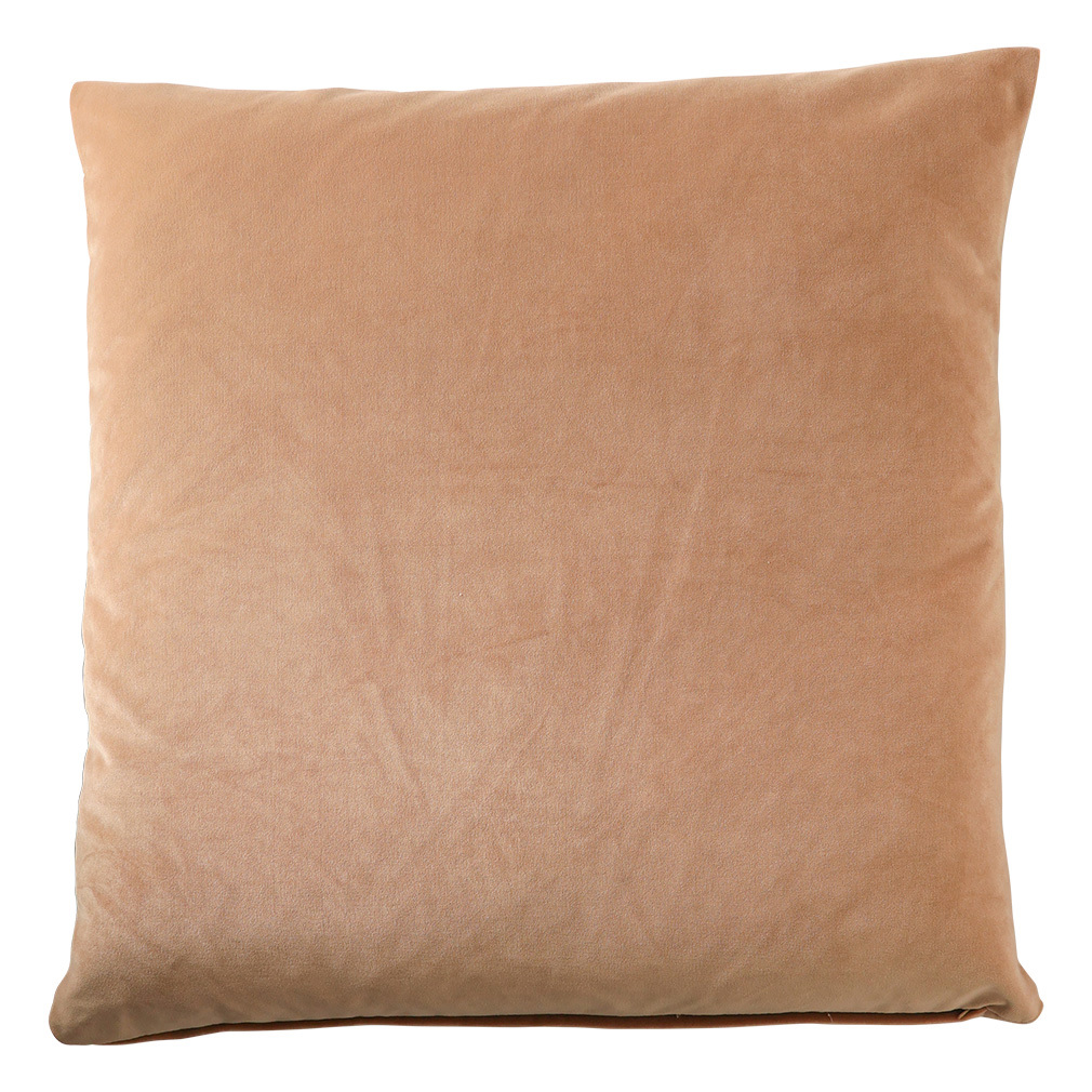 Velvet Cushion