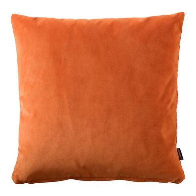 Velvet Cushion
