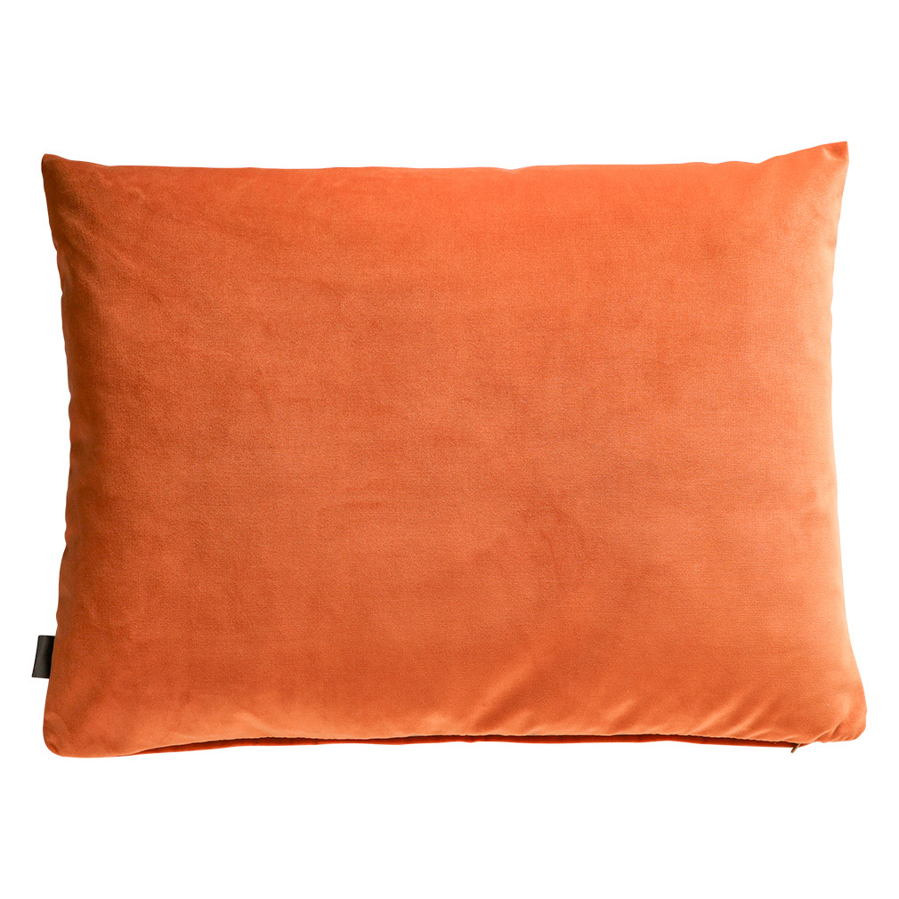 Velvet Cushion