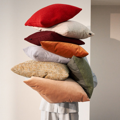 Velvet Cushion