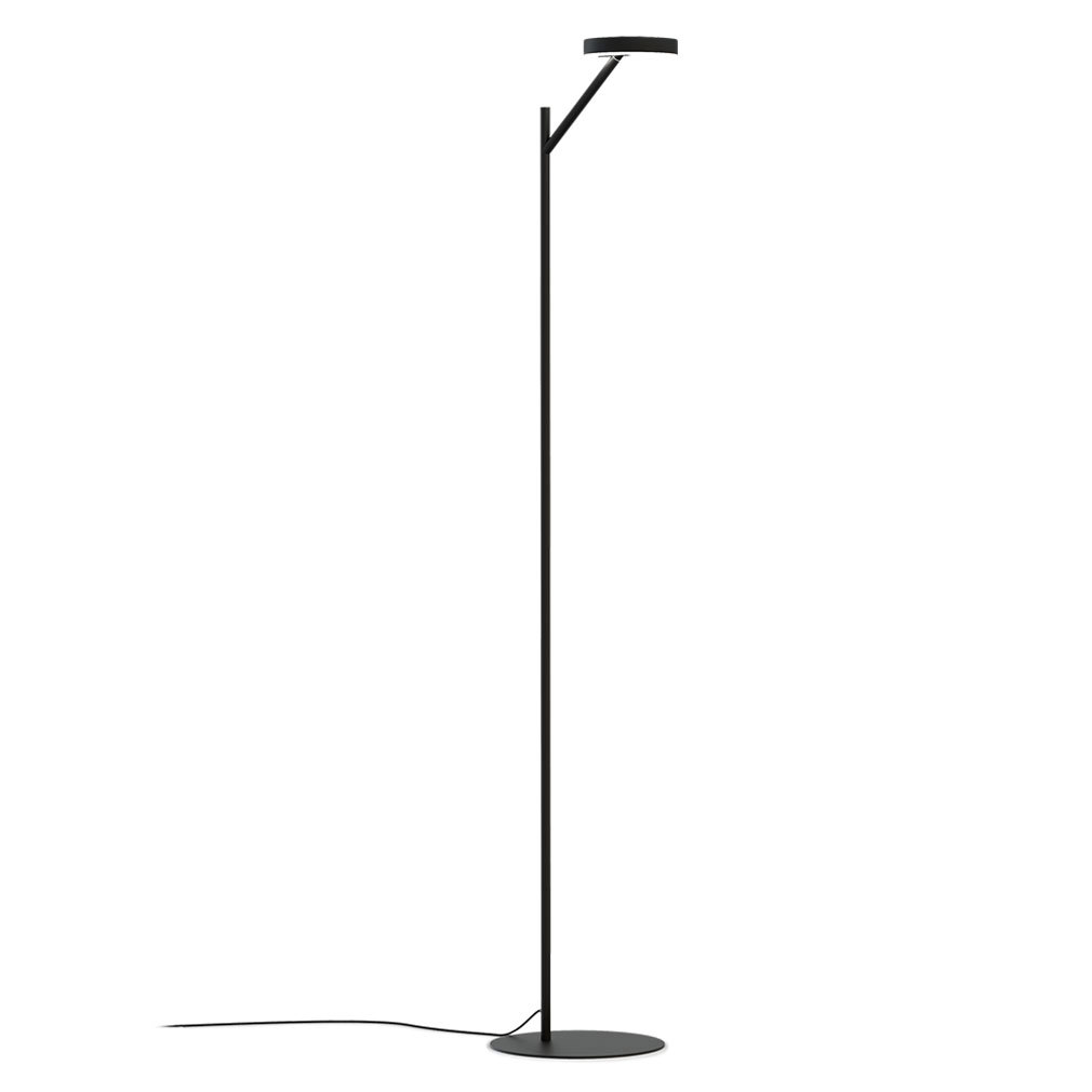 Arm Floor Lamp