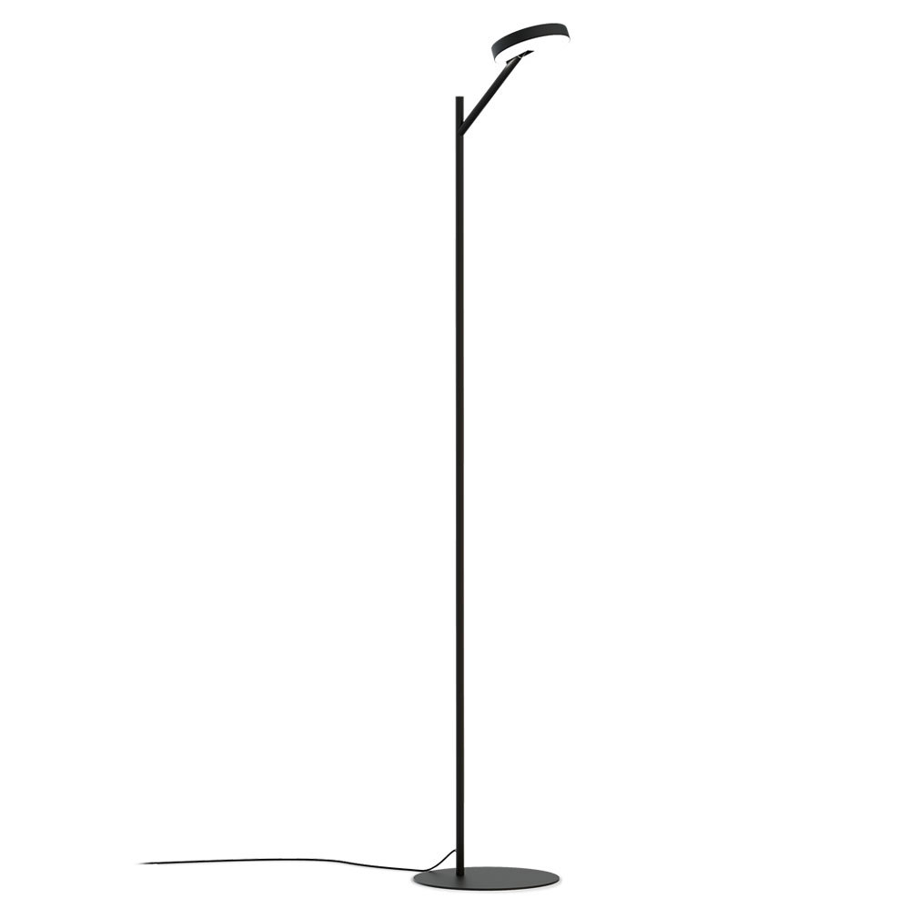 Arm Floor Lamp