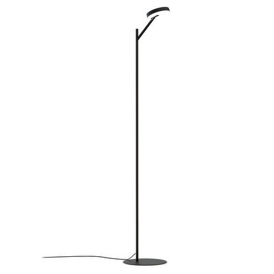 Arm Floor Lamp