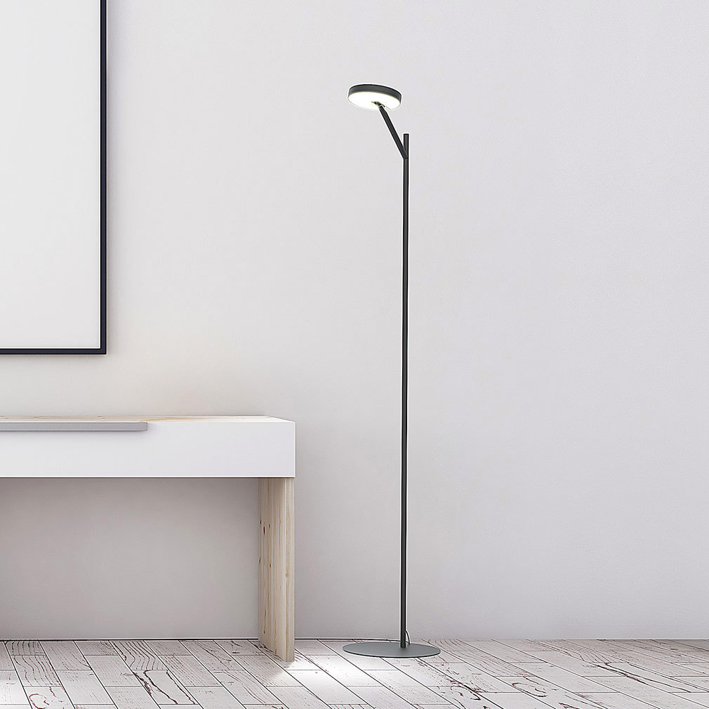 Arm Floor Lamp