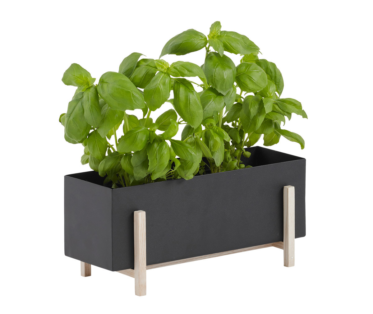 Botanic Plant Box