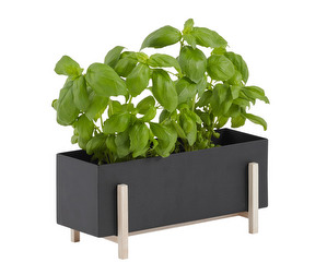 Botanic Plant Box, Metal/Ash