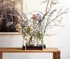 Botanic Plant Tray Botanic Plant Tray