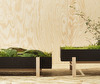 Botanic Plant Tray Botanic Plant Tray