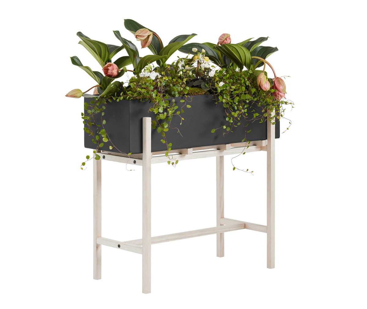 Botanic Plant Stand