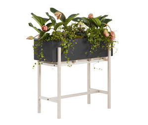 Botanic Plant Stand, Metal/Ash