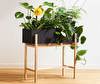 Botanic Plant Stand Botanic Plant Stand