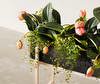 Botanic Plant Stand Botanic Plant Stand