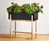 Botanic Plant Stand Botanic Plant Stand