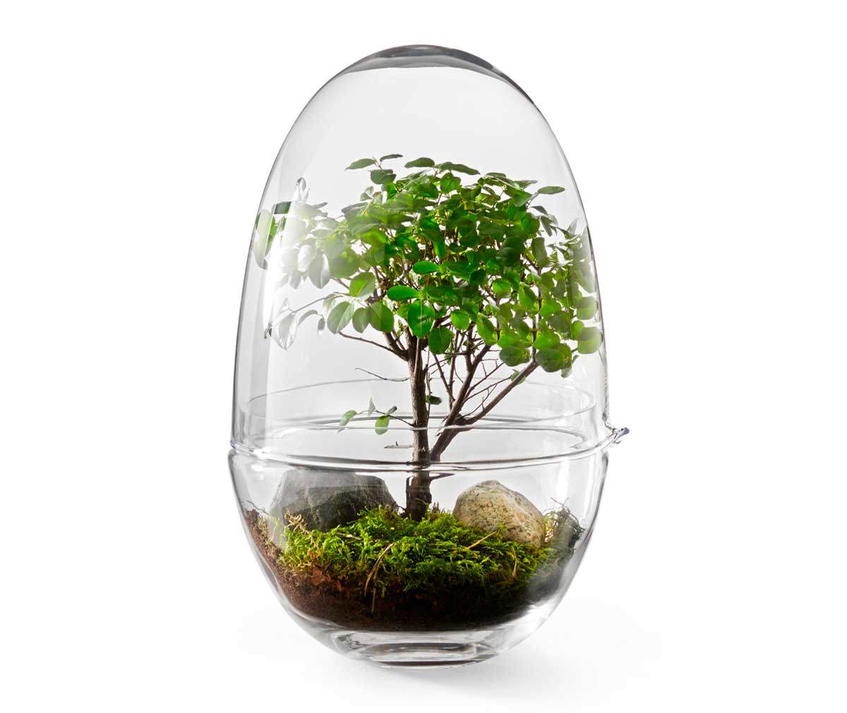 Design House Stockholm Grow Mini Greenhouse H 32 cm