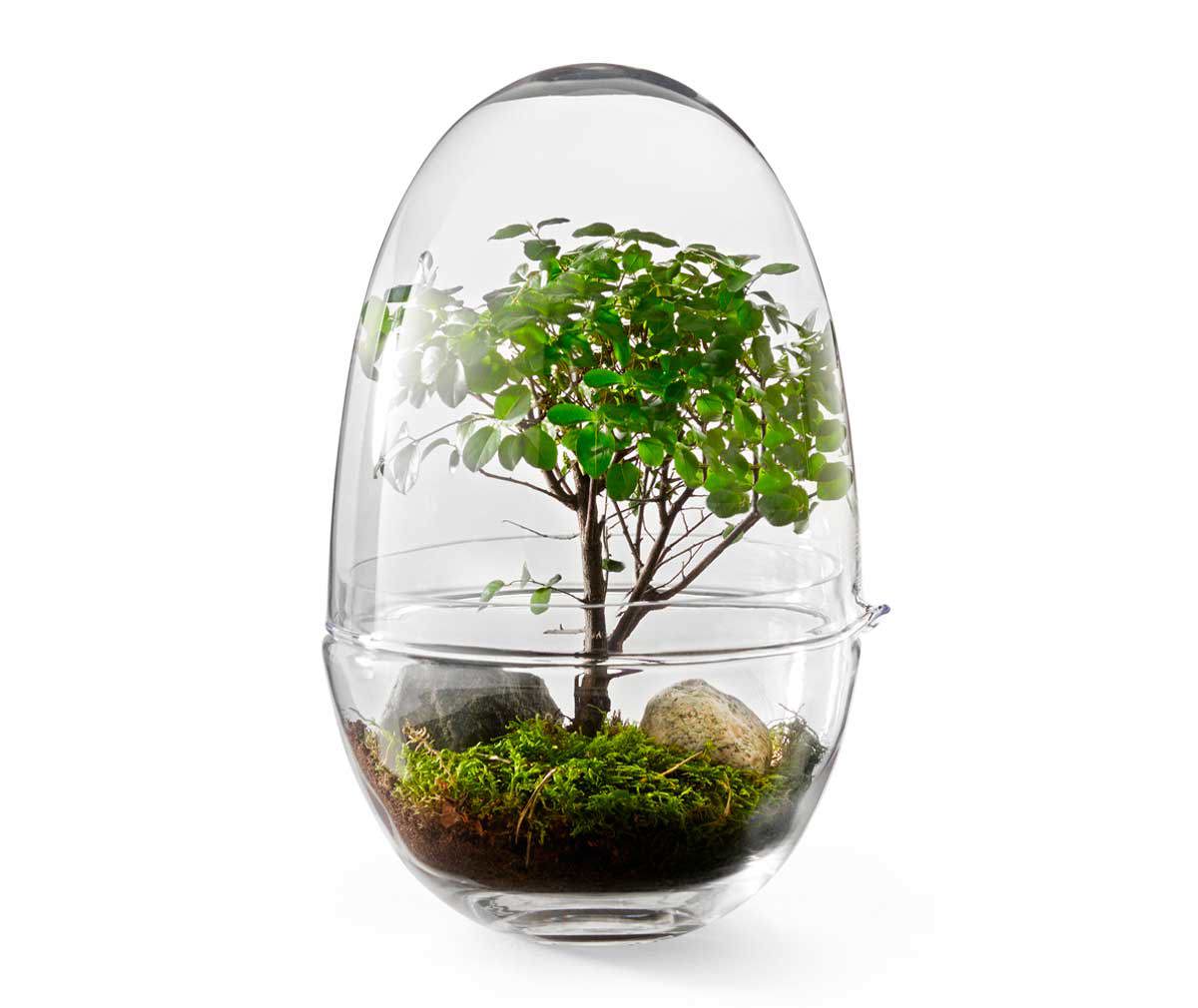 Design House Stockholm Grow Mini Greenhouse H 32 cm Design House Stockholm Grow Mini Greenhouse H 32 cm