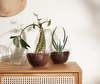 Grow Mini Greenhouse Grow Mini Greenhouse