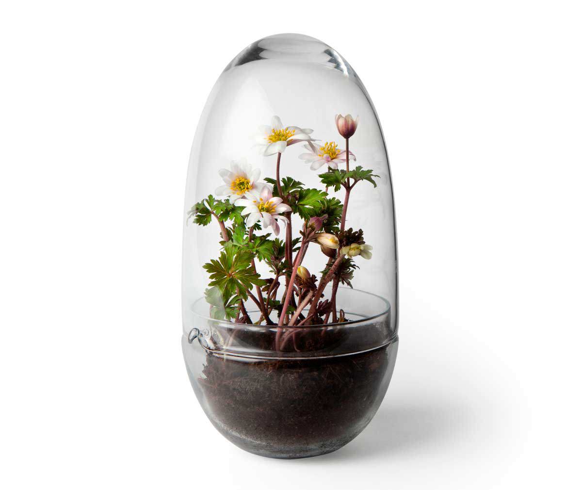 Design House Stockholm Grow Mini Greenhouse H 24 cm