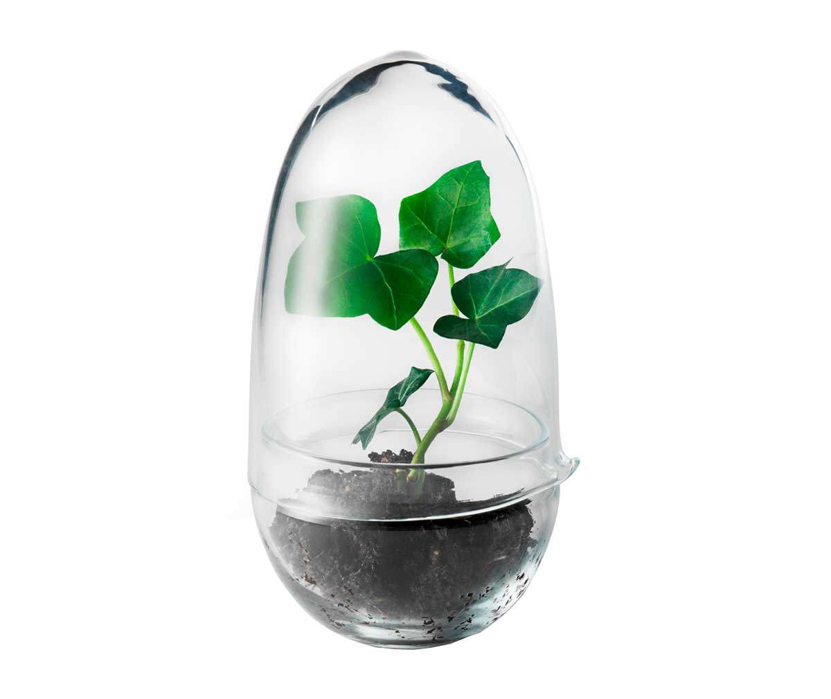 Design House Stockholm Grow Mini Greenhouse H 14 cm