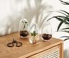 Grow Mini Greenhouse Grow Mini Greenhouse