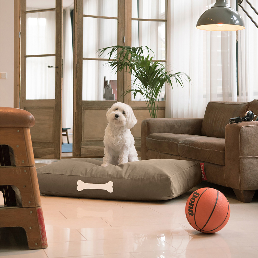 Doggielounge-koiranpeti