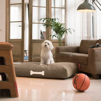 Doggielounge-koiranpeti
