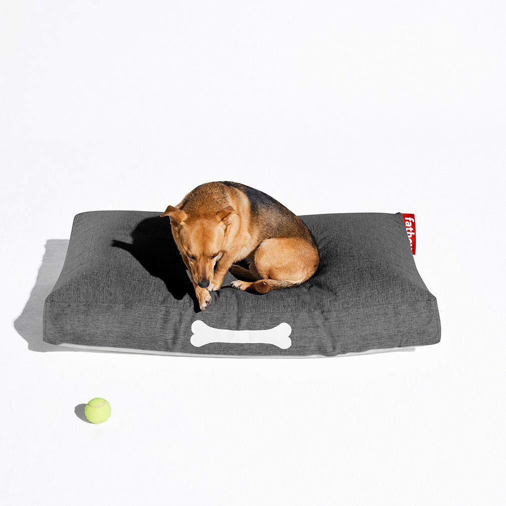 Doggielounge-koiranpeti