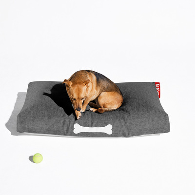 Doggielounge-koiranpeti