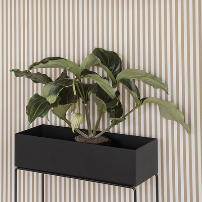 Plant Box -kasviteline