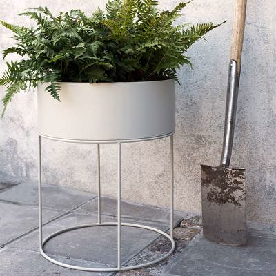Plant Box