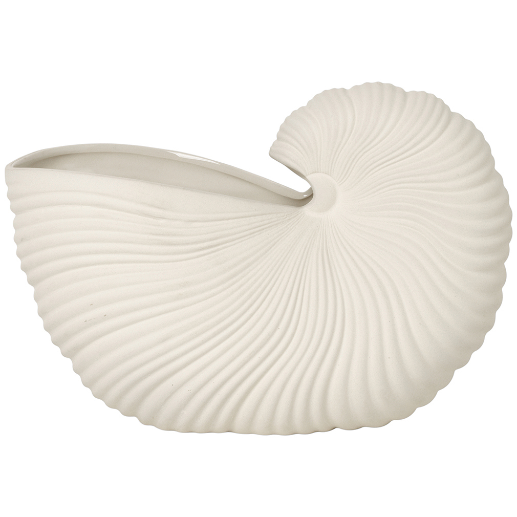 Shell Pot