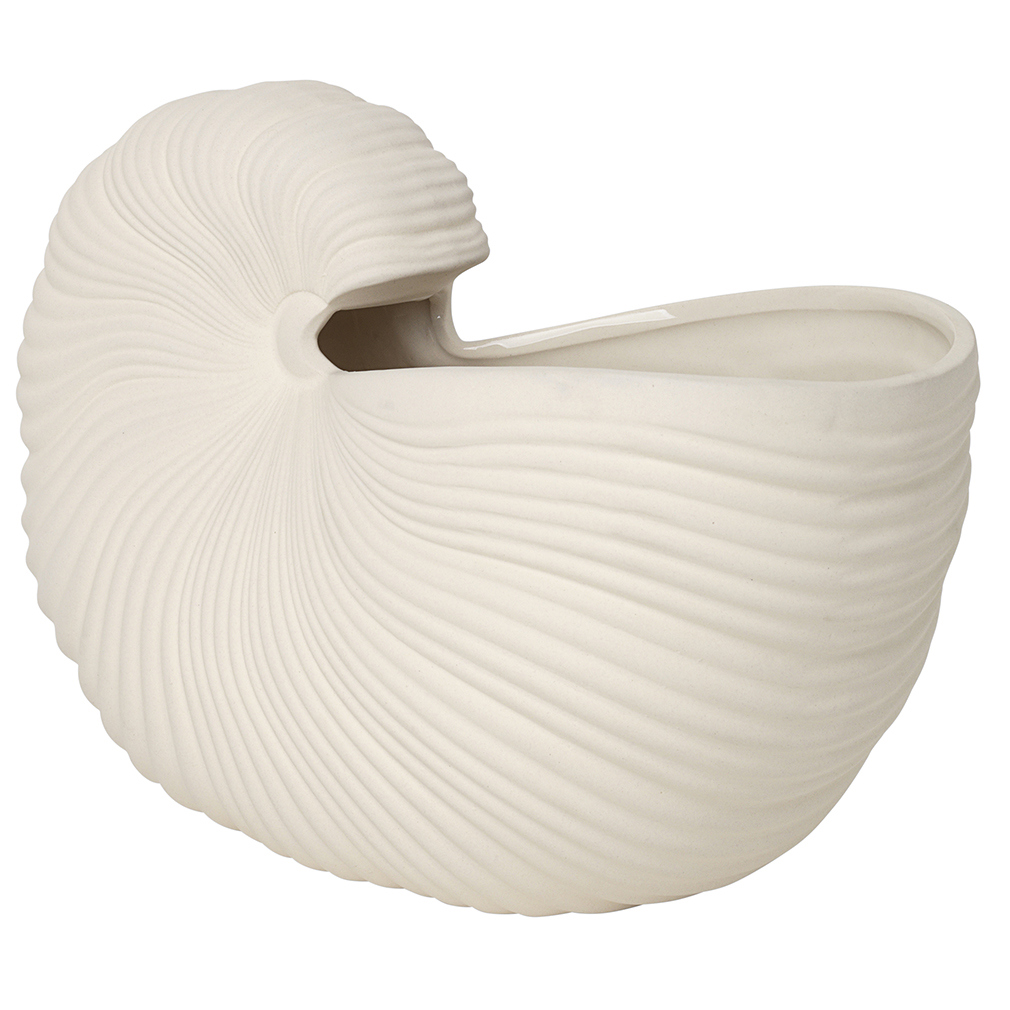 Shell Pot